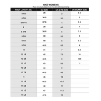 AOT - Jordan 1 Low | UK 8