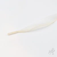 Close-up of a cream fishtail ribbon shoelace with a clear plastic aglet on a white background.
